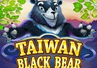 Taiwan Black Bear game screenshot